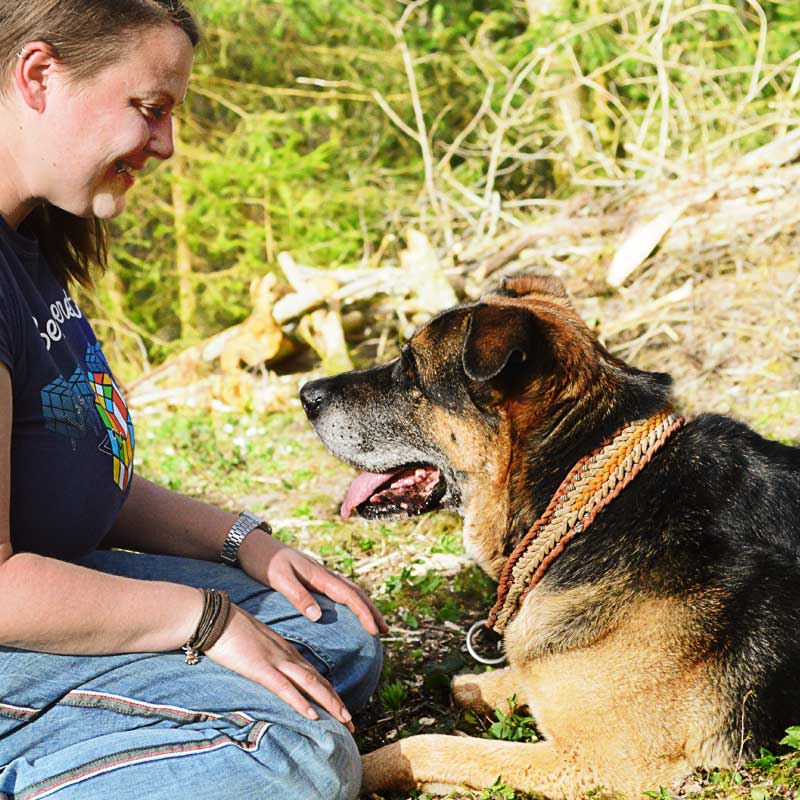 Verbindung zwischen Mensch und Hund